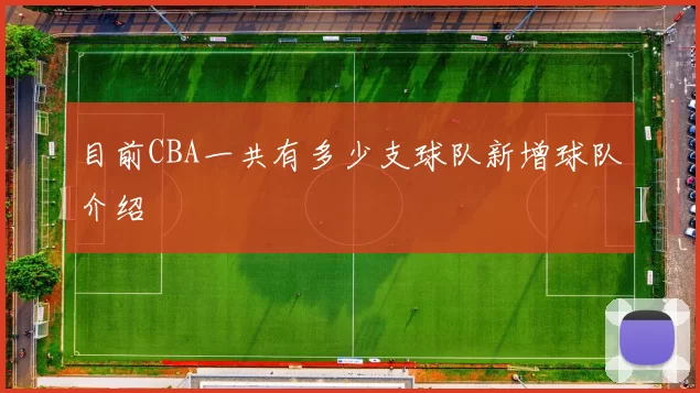 目前CBA一共有多少支球队新增球队介绍