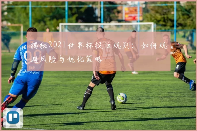 揭秘2021世界杯投注规则:如何规避风险与优化策略
