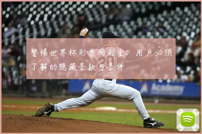 警惕世界杯彩票网彩金:用户必须了解的隐藏条款与条件