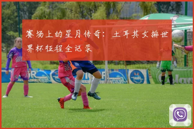 赛场上的星月传奇：土耳其女排世界杯征程全记录