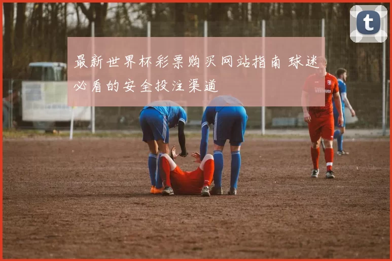 最新世界杯彩票购买网站指南 球迷必看的安全投注渠道