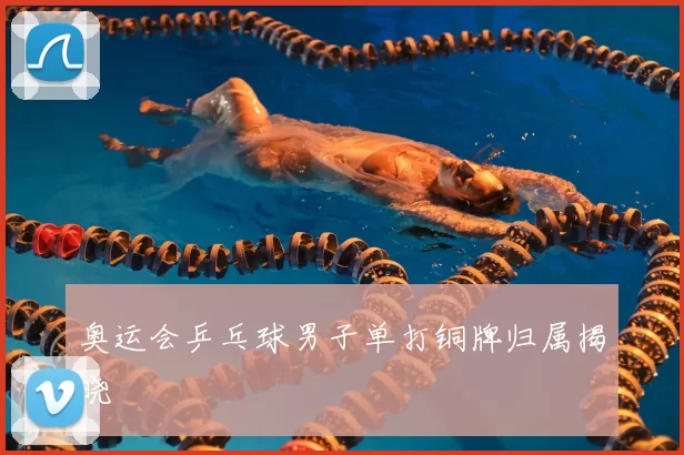 奥运会乒乓球男子单打铜牌归属揭晓