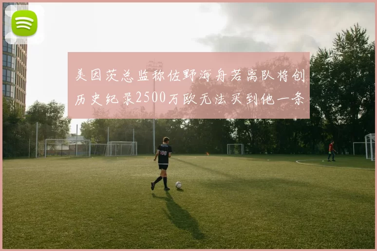 美因茨总监称佐野海舟若离队将创历史纪录2500万欧无法买到他一条腿