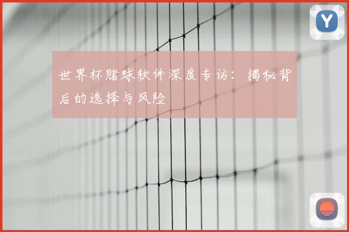 世界杯赌球软件深度专访：揭秘背后的选择与风险