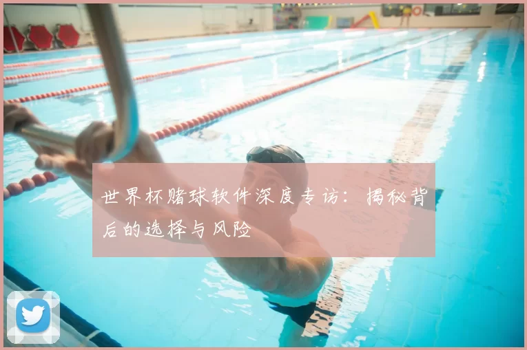 世界杯赌球软件深度专访：揭秘背后的选择与风险