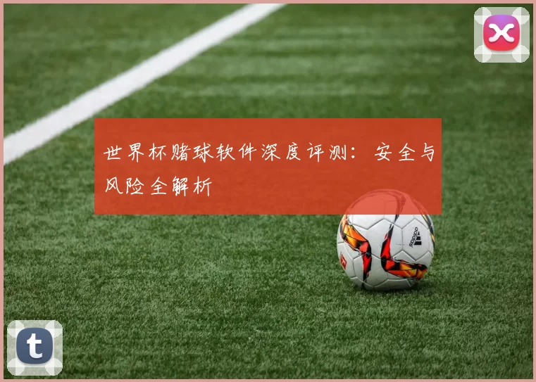 世界杯赌球软件深度评测：安全与风险全解析