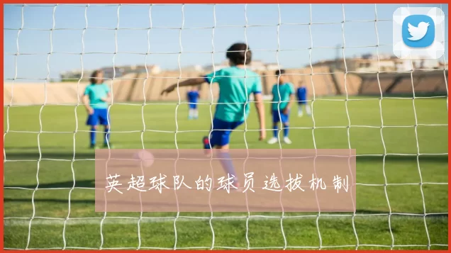 英超球队的球员选拔机制