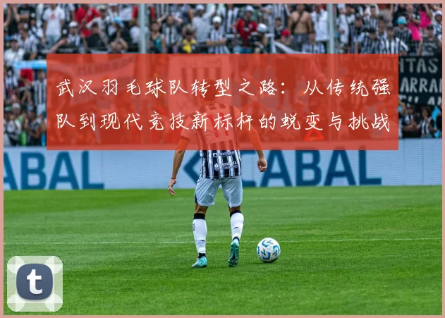 武汉羽毛球队转型之路:从传统强队到现代竞技新标杆的蜕变与挑战